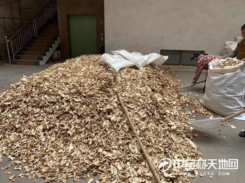 科学直击“佛手大菠萝13道挂哪里	”挂辅助教程-第1张图片