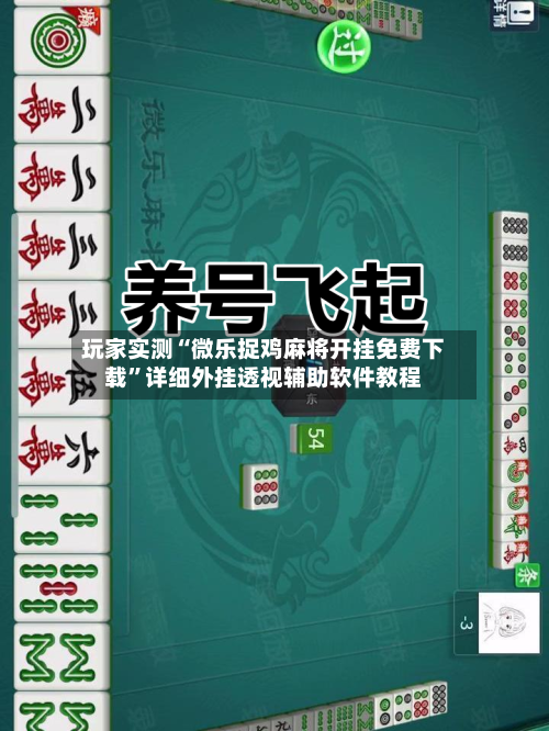 分享实测攻略“微乐双扣怎么开挂”确实真的有挂-第3张图片