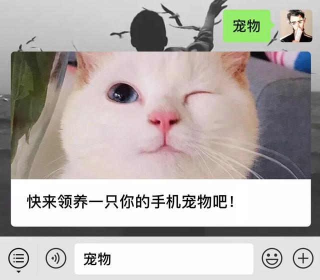 我来教教大家“上品十三水有挂吗	”附开挂脚本详细步-第3张图片
