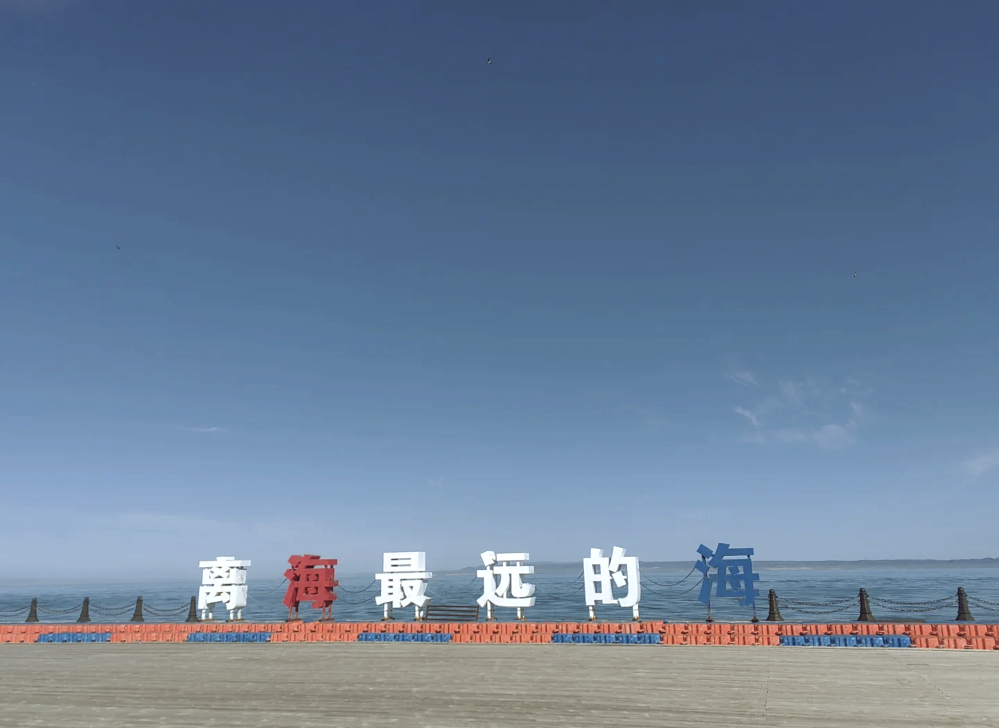 专业讨论“广西八一字牌开挂视频”(其实真的能开挂)-第3张图片