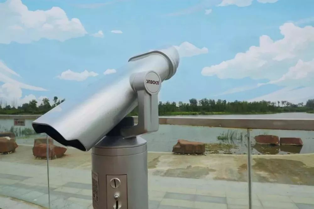 分享科普“微乐宁夏开挂器通用版	”(确实能开挂)-第2张图片