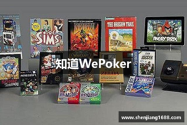 介绍一款“wepoker微扑克辅助器”(其实有挂)-第3张图片
