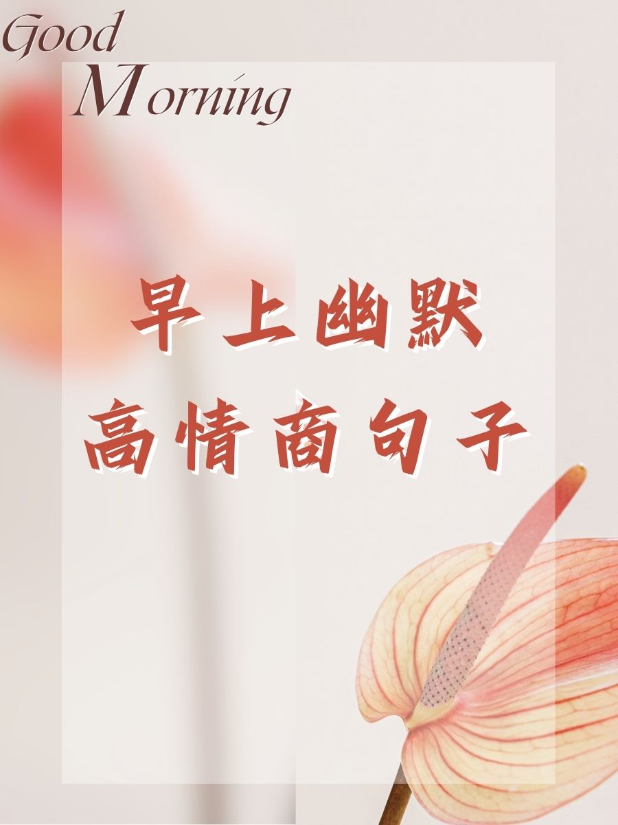 教程分享“一手好牌高情商句子”确实是有挂-第2张图片
