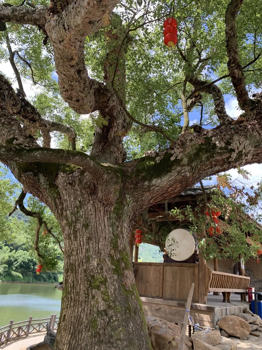 福建南平松溪疫情最新消息︰(福建南平市疫情最新情况 最新消息)-第3张图片