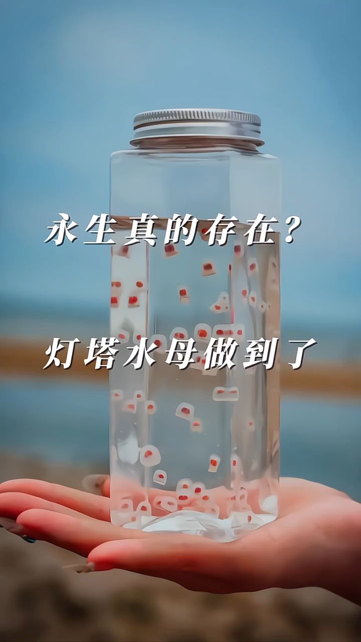 分享科普“聚友麻坛有挂吗”分享真的有挂给你