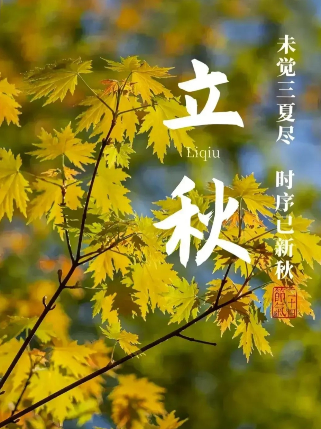 科普一下“闲来陕西三代有挂吗”附开挂脚本详细步骤-第3张图片