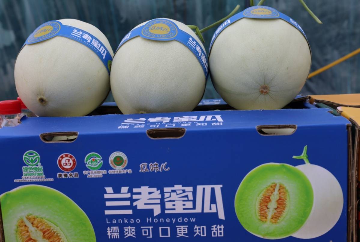 必备科技“新蜜瓜大厅怎么开挂”(其实有挂)-第2张图片