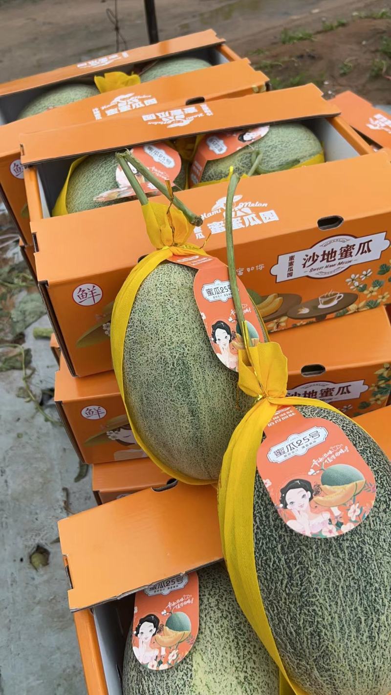 必备科技“新蜜瓜大厅怎么开挂”(其实有挂)-第3张图片