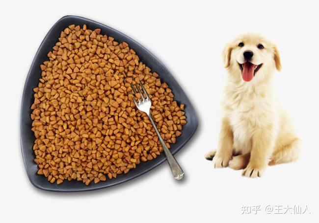 分享实测攻略“牌乐门辅助器(免费版)”分享装挂技巧步骤-第3张图片