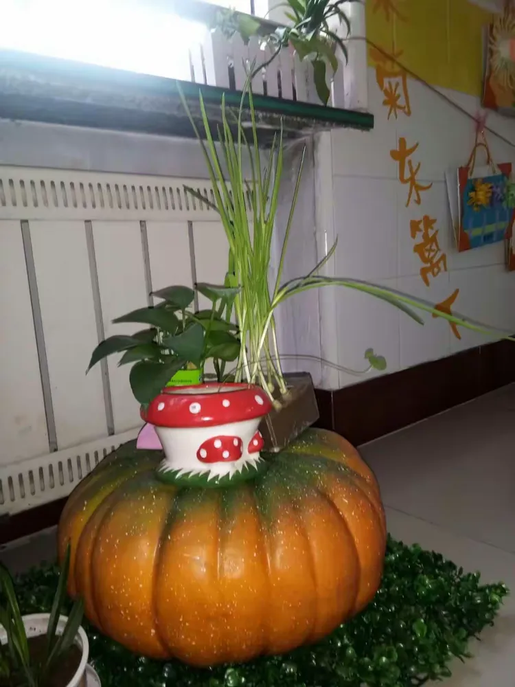 传递经验“蝴蝶大厅有挂吗”确实果然有挂-第1张图片