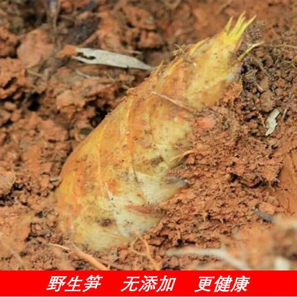 分享干货“闲逸开挂最明显三个特征”分享装挂详-第2张图片