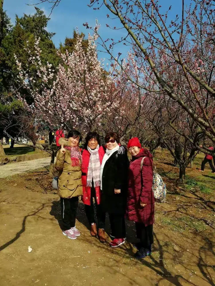 揭秘科普“哈局十三张开挂神器怎么玩	”其实确实有挂-第1张图片