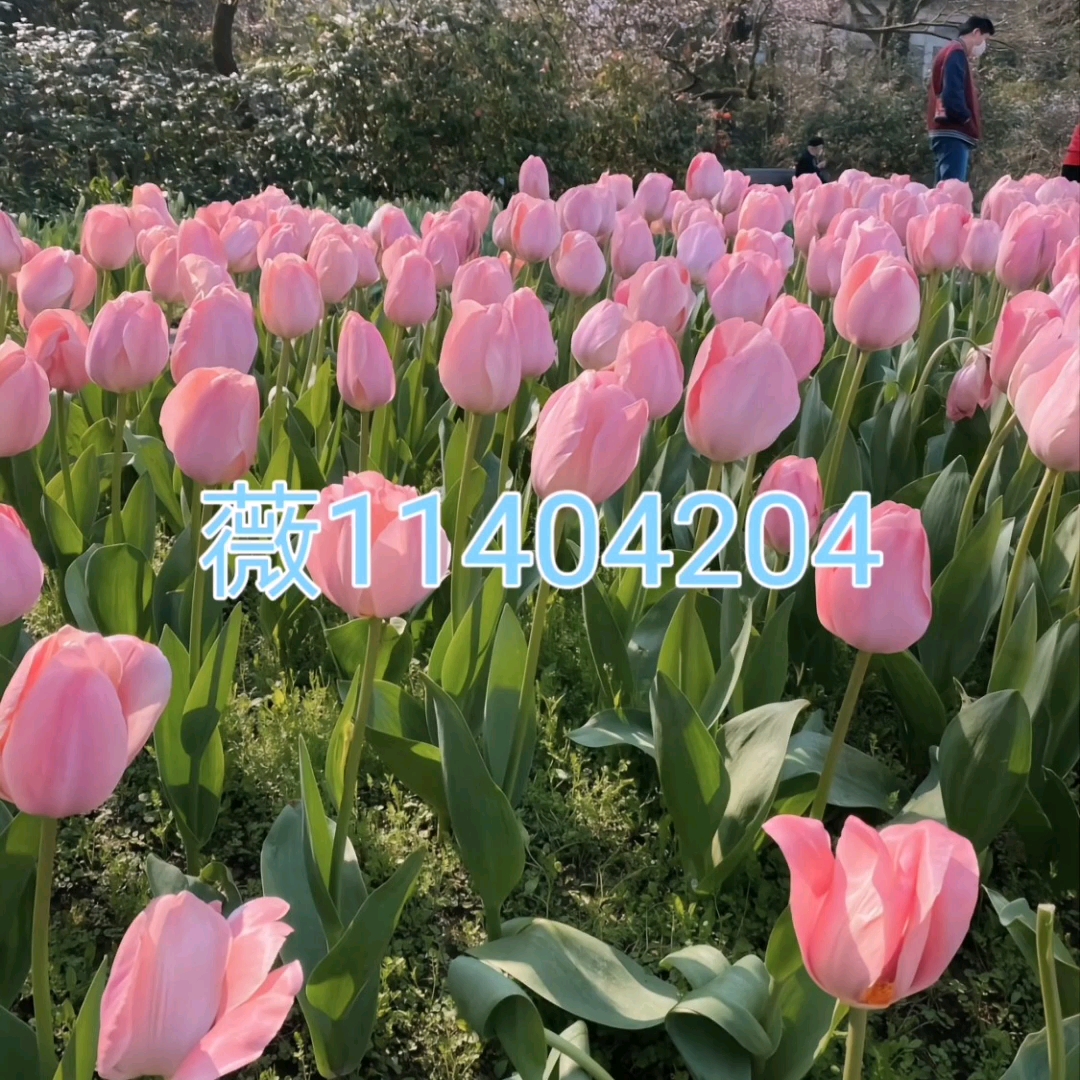 玩家必备“机麻作弊怎么检查出来	”(必胜开挂神-第2张图片