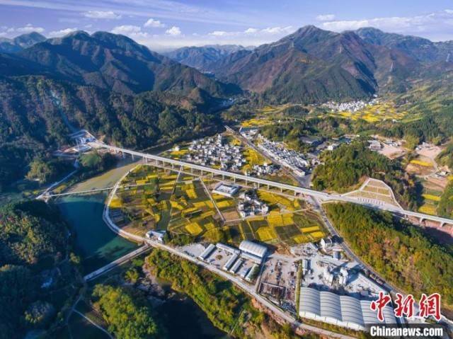 指定教程“中至余干五十K开挂神器	”(原来真的有挂)-第2张图片