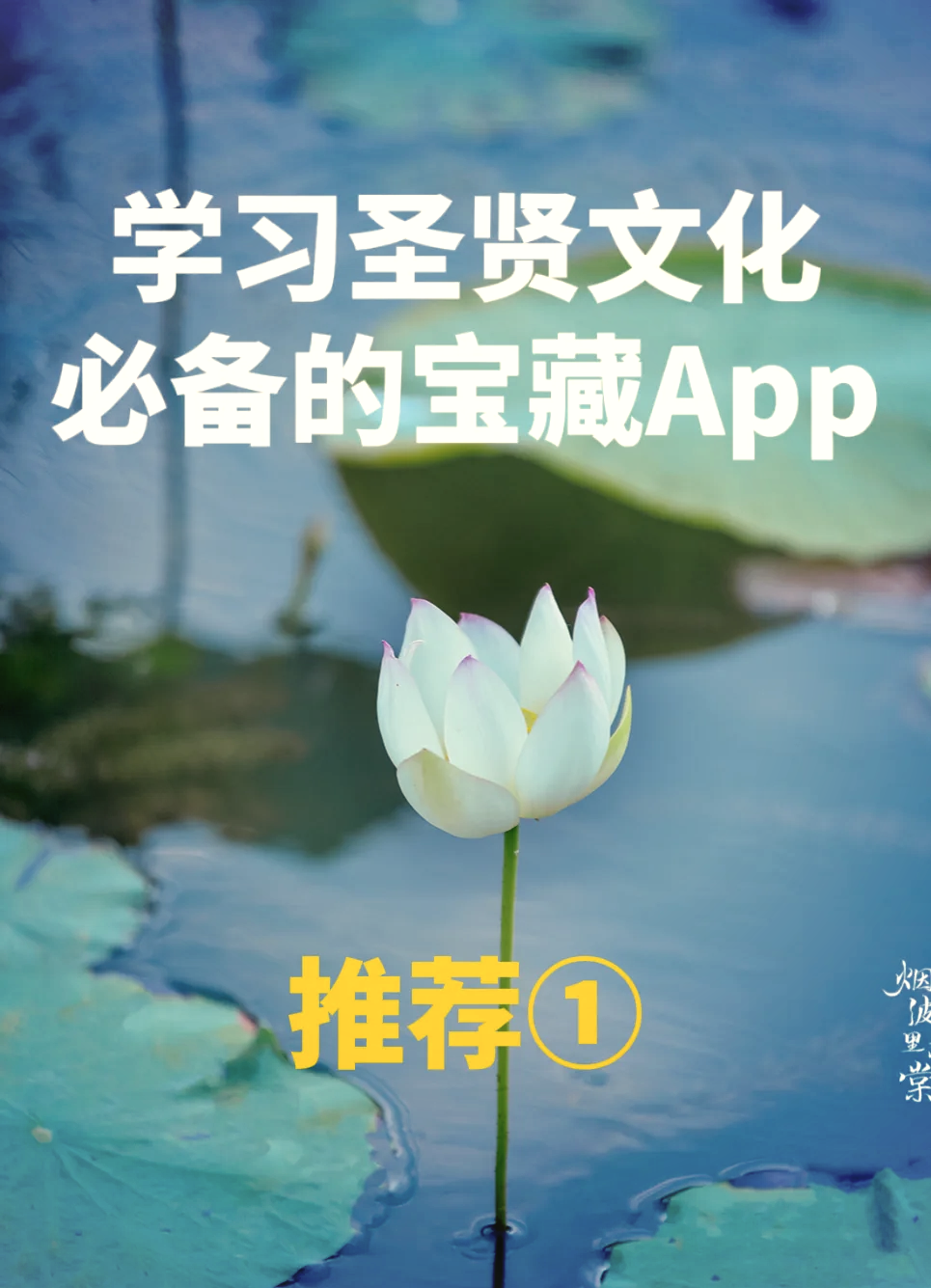 推荐必备“打麻将的挂要少钱”确实有挂-第2张图片