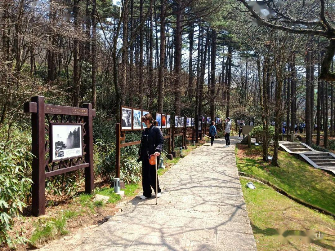 玩家综述“黄山麻将开挂神器免费下载”其实真的确实有挂-第2张图片